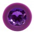 Маленькая фиолетовая пробка с фиолетовым кристаллом ONJOY Silicone Collection
